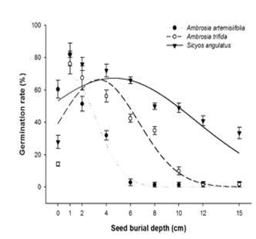 The effect of different seed burial depths on seedling emergence rate of A. artemisiifolia, A. trifida and S. angulatus