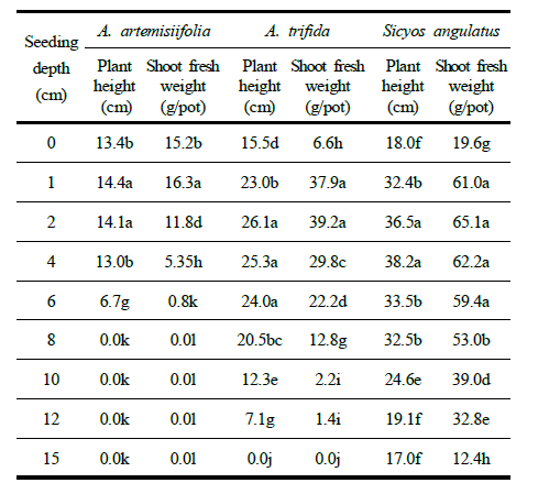 The effect of different seed burial depths on plant height and shoot fresh weight of A. artemisiifolia, A. trifida and S. angulatus