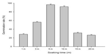 Breaking the dormancy of Hypochaeris radicata seeds with H2SO4