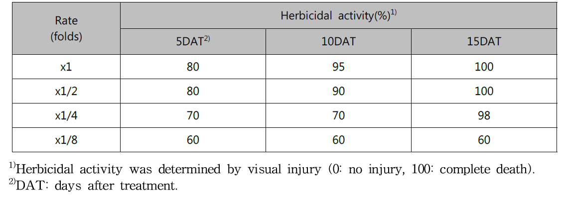 Herbicidal activity of N-29 culture broth filtrate on Sicyos angulatus with middle stage in a greenhouse condition