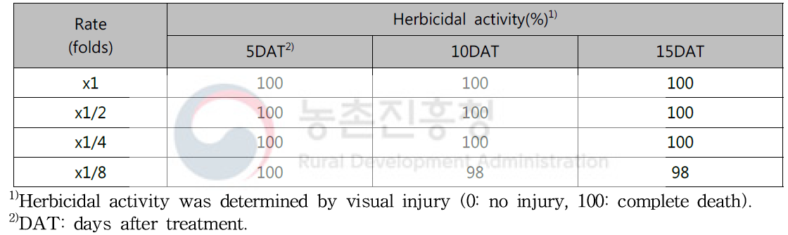 Herbicidal activity of N-29 culture broth filtrate to Ambrosia artemisiifolia with early leaf stage in a greenhouse condition