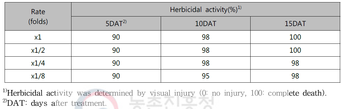 Herbicidal activity of N-29 culture broth filtrate to Ambrosia artemisiifolia with middle leaf stage in a greenhouse condition