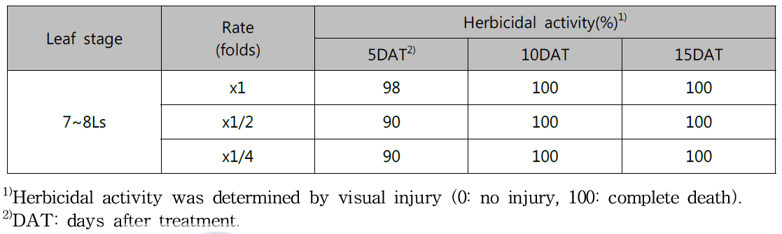 Herbicidal activity of N-29 culture broth filtrate to Ambrosia artemisiifolia with late leaf stage in a greenhouse condition