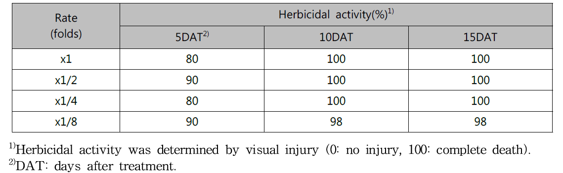 Herbicidal activity of N-29 culture broth filtrate of to Ambrosia trifida with early leaf stage in a greenhouse condition