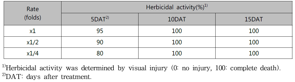 Herbicidal activity of N-29 culture broth filtrate to Ambrosia trifida with middle leaf stage in a greenhouse condition