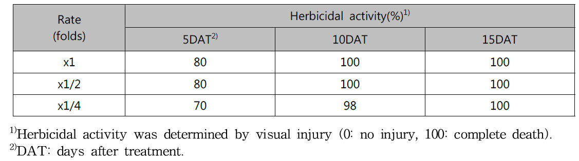 Herbicidal activity of N-29 culture broth filtrate to Ambrosia trifida with late leaf stage in a greenhouse condition