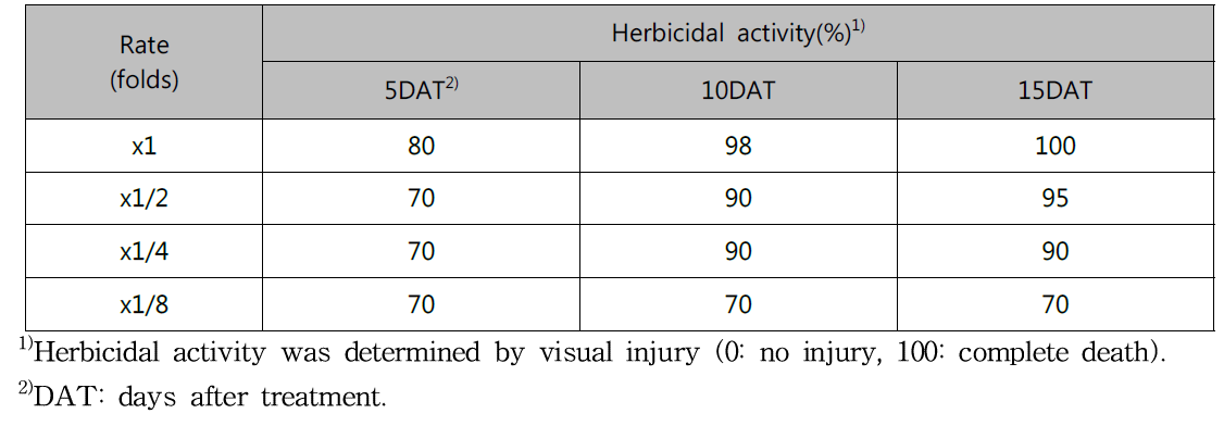 Herbicidal activity of N-29 culture broth filtrate to Hypochaeris radicata with middle leaf stage in a greenhouse condition