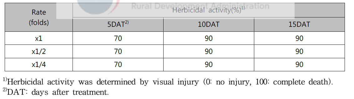 Herbicidal activity of N-29 culture broth filtrate to Hypochaeris radicata with late leaf stage in a greenhouse condition