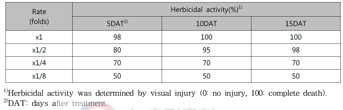 Herbicidal activity of N-29 culture broth filtrate to Solidago altissima with early leaf stage in a greenhouse condition