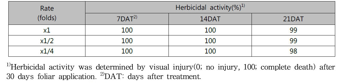 Herbicidal activity of N-29 culture broth filtrate to Ambrosia artemisiifolia in field condition