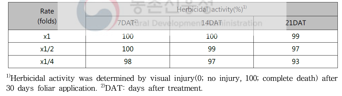 Herbicidal activity of N-29 culture broth filtrate to Ambrosia trifida in field condition