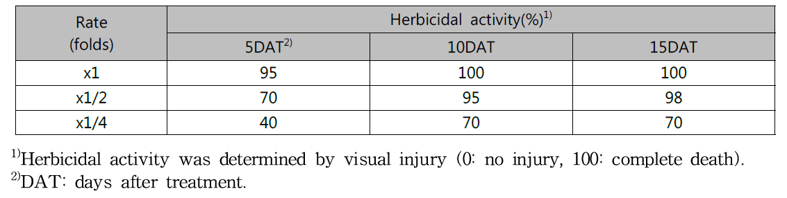 Herbicidal activity of KRA16-334 culture broth filtrate to Sicyos angulatus with middle leaf stage in a greenhouse condition