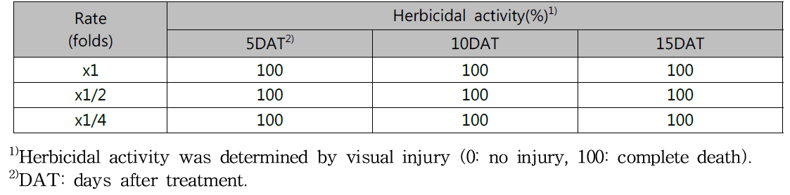 Herbicidal activity of KRA16-334 culture broth filtrate to Sicyos angulatus with early leaf stage in a greenhouse condition