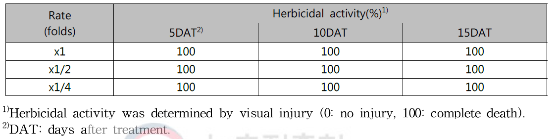 Herbicidal activity of KRA16-334 culture broth filtrate to Ambrosia trifida with early leaf stage in a greenhouse condition