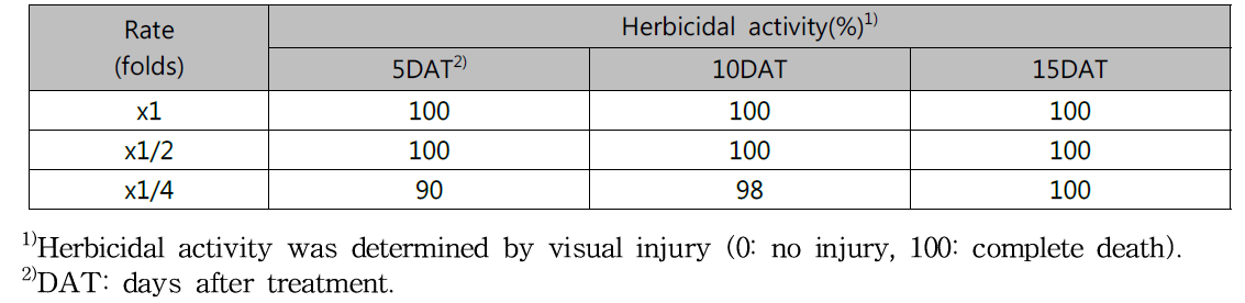 Herbicidal activity of KRA16-334 culture broth filtrate to Ambrosia trifida with middle leaf stage in a greenhouse condition