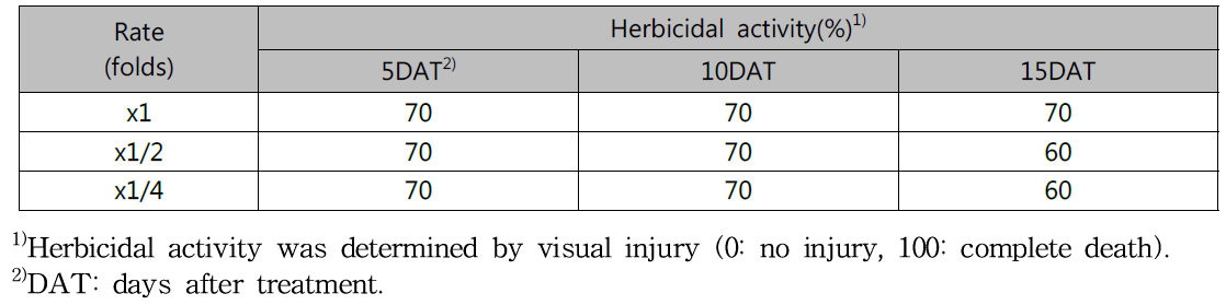 Herbicidal activity of KRA16-334 culture broth filtrate to Ambrosia trifida with late leaf stage in a greenhouse condition