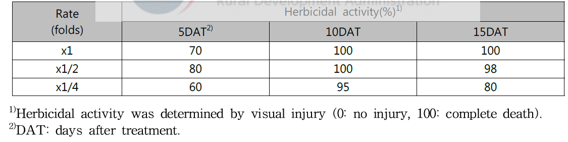 Herbicidal activity of KRA16-334 culture broth filtrate to Ambrosia artemisiifolia with middle leaf stage in a greenhouse condition