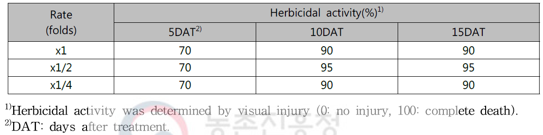 Herbicidal activity of KRA16-334 culture broth filtrate to Ambrosia artemisiifolia with late leaf stage in a greenhouse condition