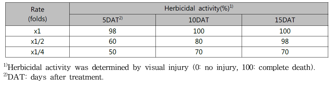 Herbicidal activity of KRA16-334 culture broth filtrate to Lactuca scariola with early leaf stage in a greenhouse condition