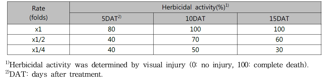 Herbicidal activity of KRA16-334 culture broth filtrate to Lactuca scariola with middle leaf stage in a greenhouse condition