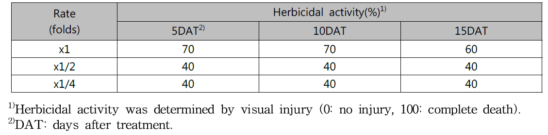 Herbicidal activity of KRA16-334 culture broth filtrate to Lactuca scariola with late leaf stage in a greenhouse condition