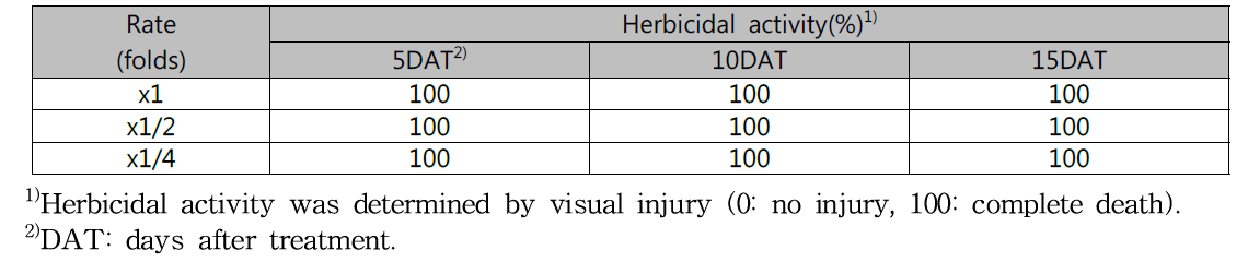 Herbicidal activity of KRA16-334 culture broth filtrate to Hypochaeris radicata with early leaf stage in a greenhouse condition