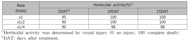 Herbicidal activity of KRA16-334 culture broth filtrate to Hypochaeris radicata with late leaf stage in a greenhouse condition