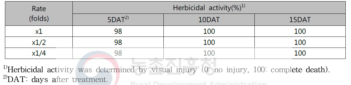 Herbicidal activity of KRA16-334 culture broth filtrate to Solidago altissima with early leaf stage in a greenhouse condition