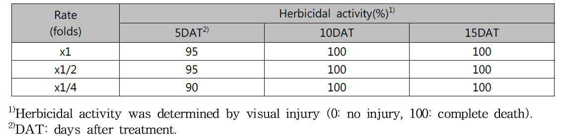 Herbicidal activity of KRA16-334 culture broth filtrate to Solidago altissima with middle leaf stage in a greenhouse condition