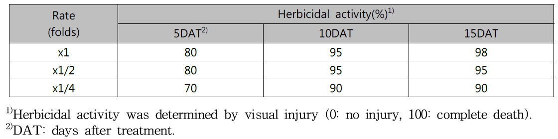 Herbicidal activity of KRA16-334 culture broth filtrate on Solidago altissima with late leaf stage in a greenhouse condition