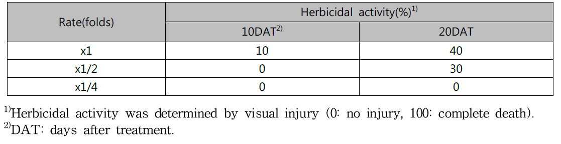 Herbicidal activity of KRA16-334 culture broth filtrate to Sicyos angulatus in field condition