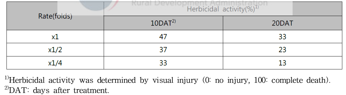 Herbicidal activity of KRA16-334 culture broth filtrate to Ambrosia trifida in field condition