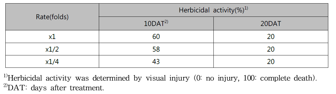 Herbicidal activity of KRA16-334 culture broth filtrate to Ambrosia artemisiifolia in field condition