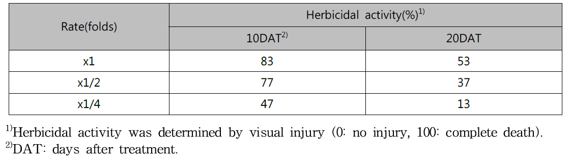 Herbicidal activity of KRA16-334 culture broth filtrate to Solidago altissima in field condition