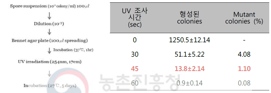 Condition for UV mutation of KRA16-334