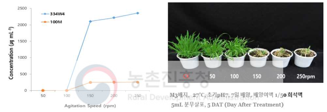 Herbicidal activity and yield of active compounds of mutant M70 by agitation