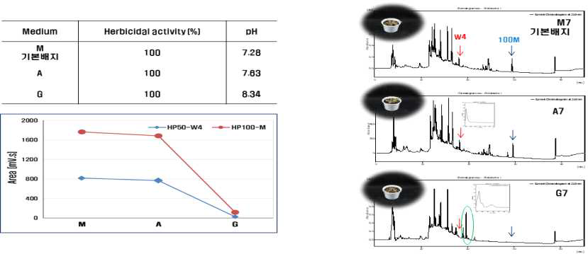 Herbicidal activity and yield of active compounds of KRA16-334 by culture