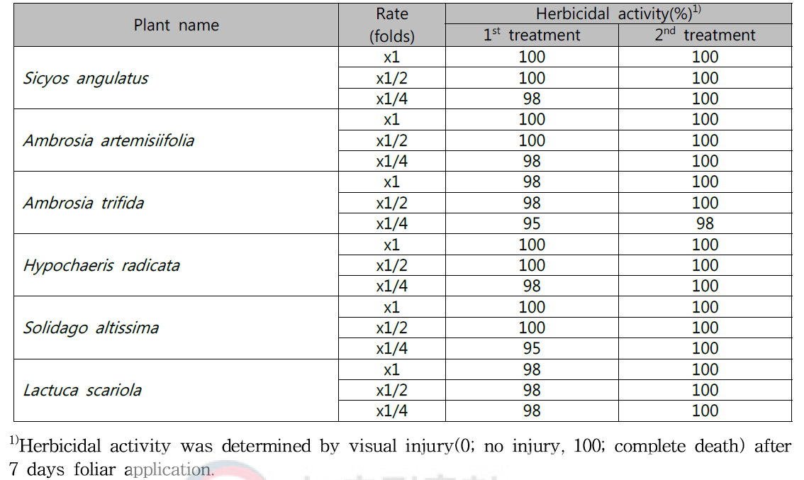 Herbicidal activity of N-29 culture broth filtrate by second followed-by treatment to several invasive alien plants in a greenhouse condition