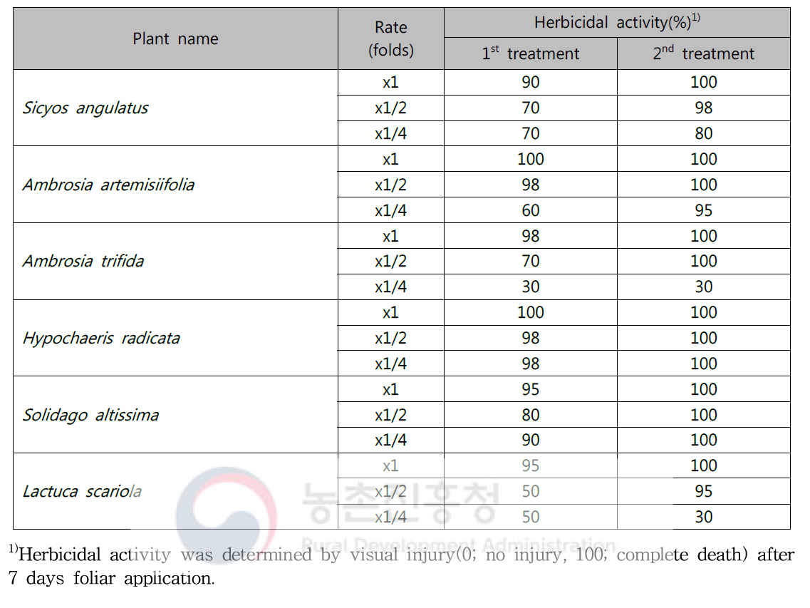 Herbicidal activity of KRA16-334 culture broth filtrate by second followed-by treatment to several invasive alien plants in a greenhouse condition