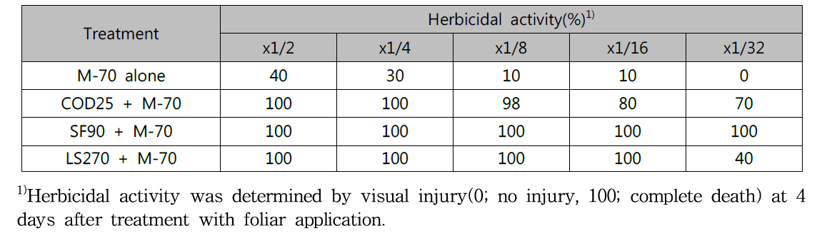 Herbicidal activity of M-70 culture broth filtrate by three adjuvants addition to Ditaria ciliaris in a greenhouse condition