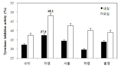 감자 품종 및 부위별 tyrosinase 억제 활성(100ppm)