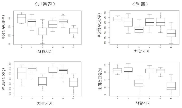 차광시기에 따른 신동진과 현품의 수량구성요소 변화