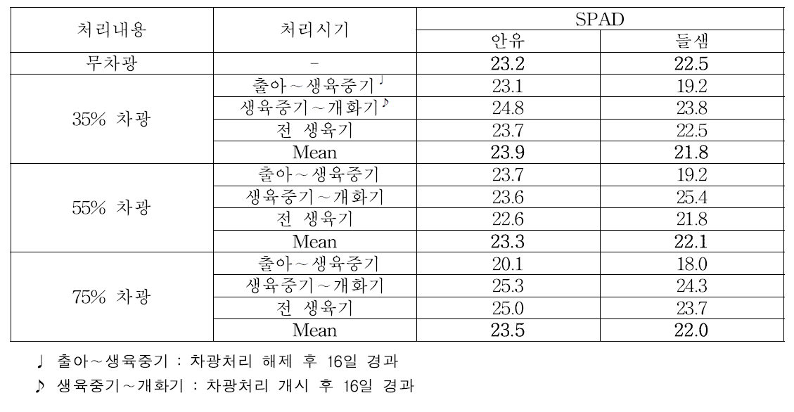 차광처리에 따른 SPAD값(8.21 조사)