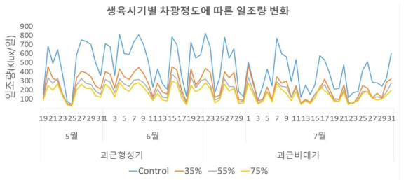 고구마 괴근 형성기 및 괴근비대기 기간 동안 차광률 별 1일 광량(2020)