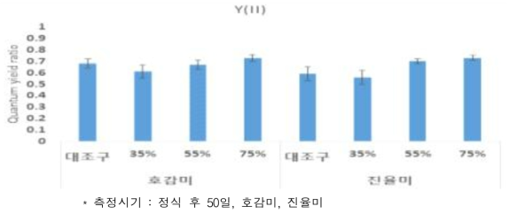 고구마 정식 후 생육초기에 차광률에 따른 잎의 광합성량(2019)