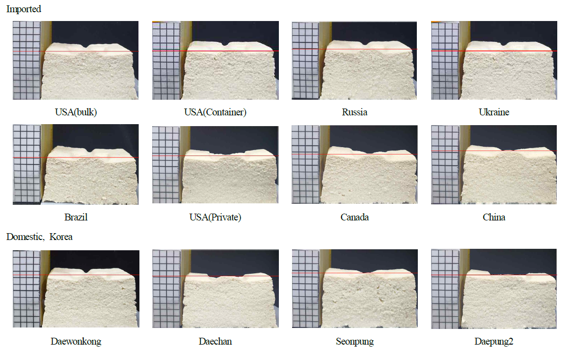 Cross-sectional views of tofu made from twelve soybeans