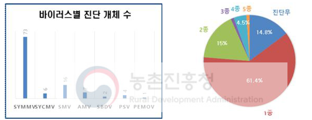 바이러스별 우점현황 및 단독 및 복합감염률