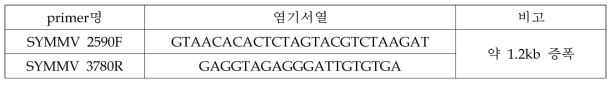 외피단백질 증폭에 사용한 프라이머