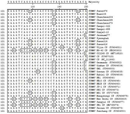 SYMMV 국내외 계통간 변이가 많은 영역