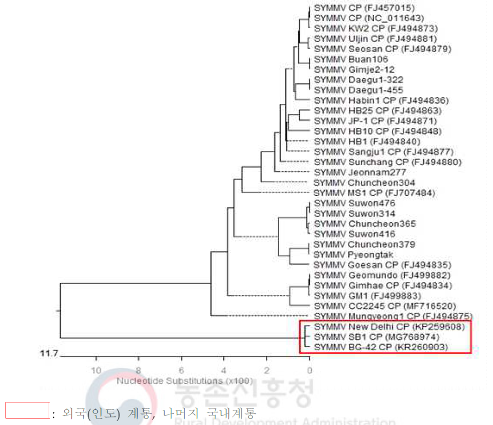 SYMMV 국내외계통 계통주 분석결과